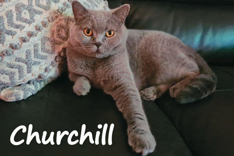Churchill