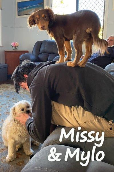 Missy & Mylo